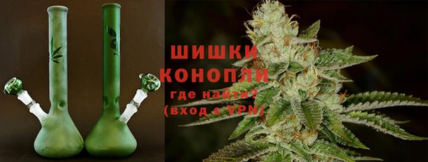 сатива Ельня