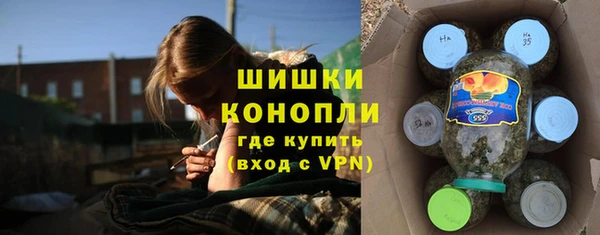 тгк Елизово