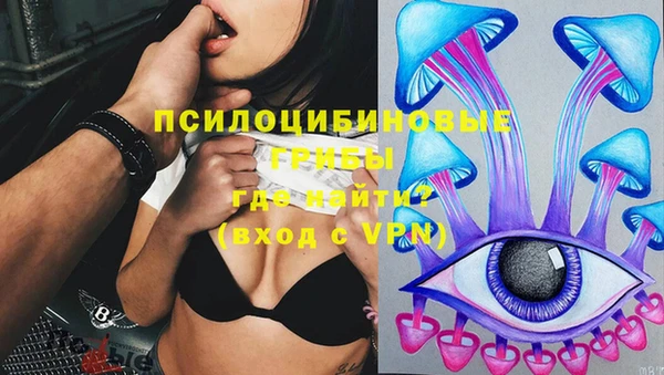сатива Ельня