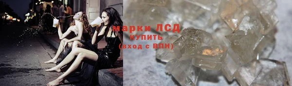 сатива Ельня