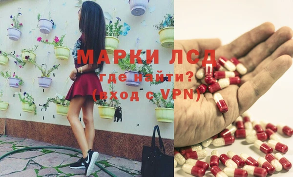 тгк Елизово