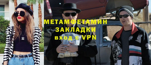 сатива Ельня