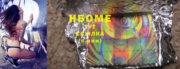 сатива Ельня