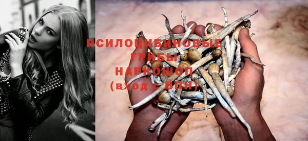сатива Ельня