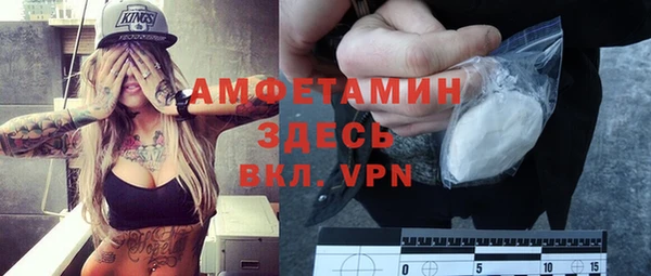 сатива Ельня