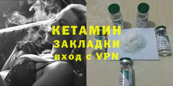 сатива Ельня