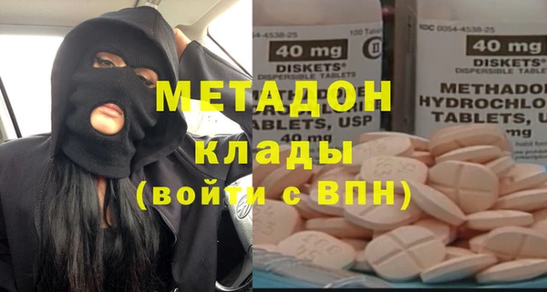 сатива Ельня