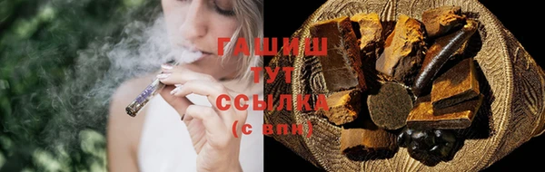 сатива Ельня