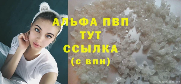 сатива Ельня