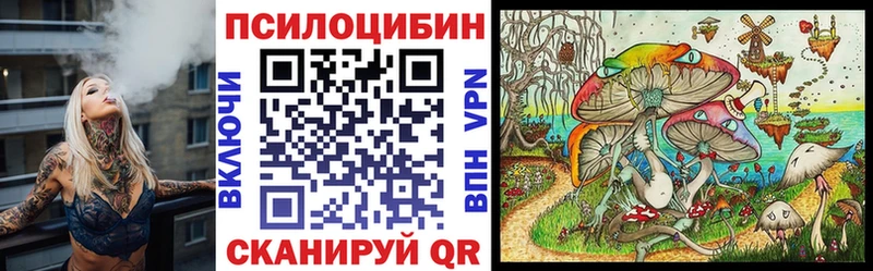 ссылка на мегу tor  Тольятти  Псилоцибиновые грибы Psilocybe 