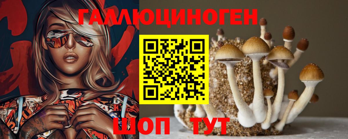 Галлюциногенные грибы Magic Shrooms  Галлюциногенные грибы прущие грибы  Россия  наркота  Вход с VPN 