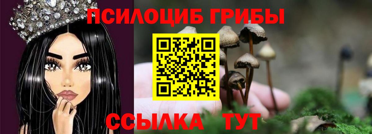Галлюциногенные грибы мухоморы Россия